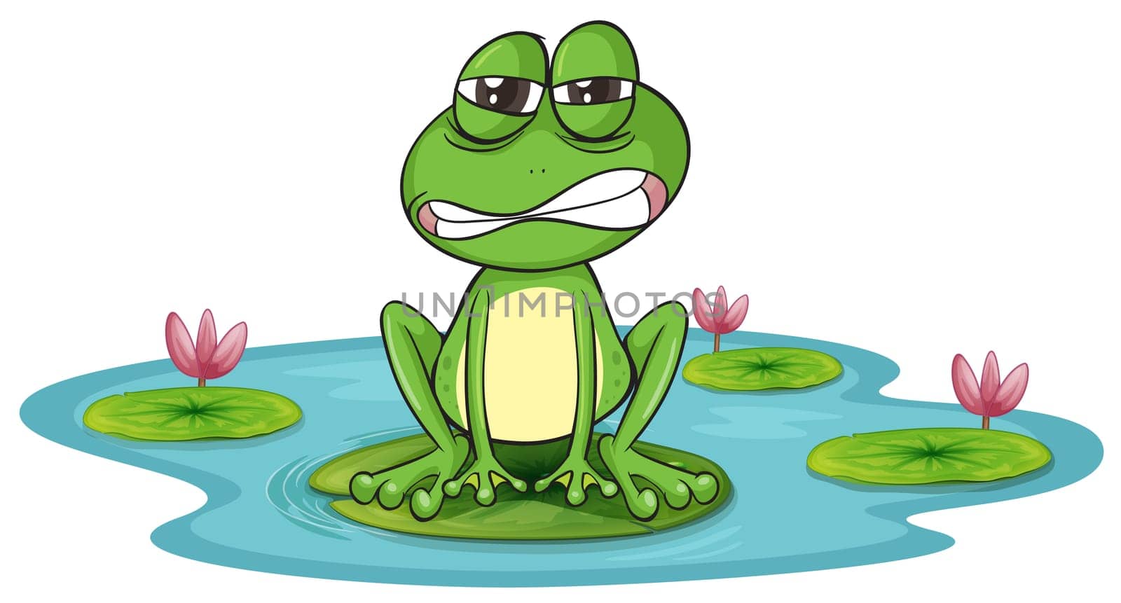illustration of a frog and a water on a white background