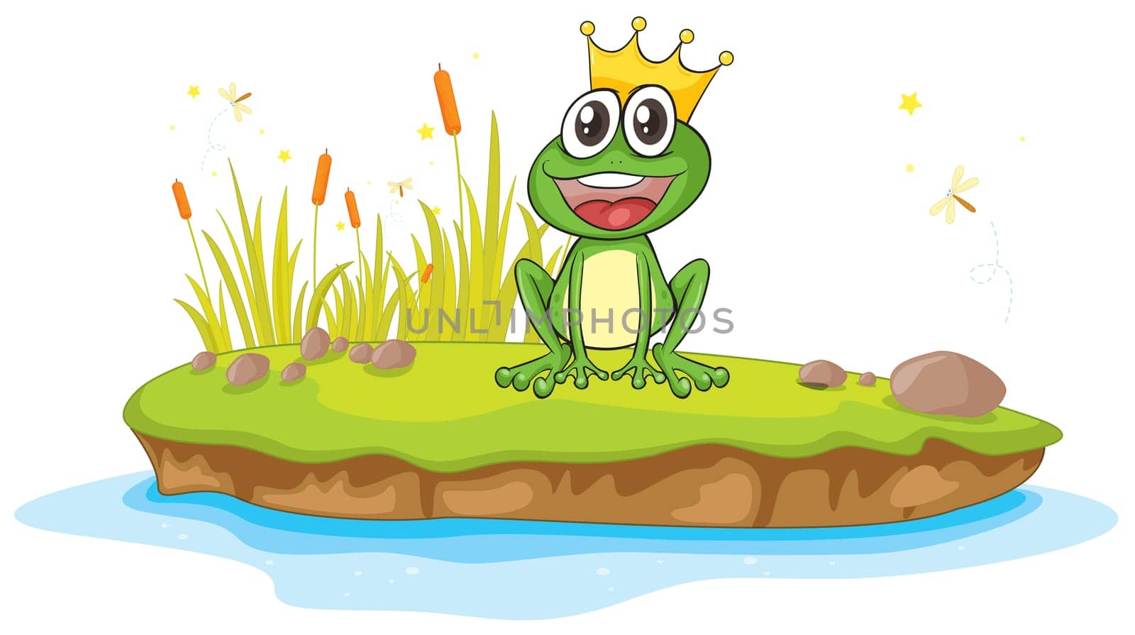 illustration of a frog and a water on a white background
