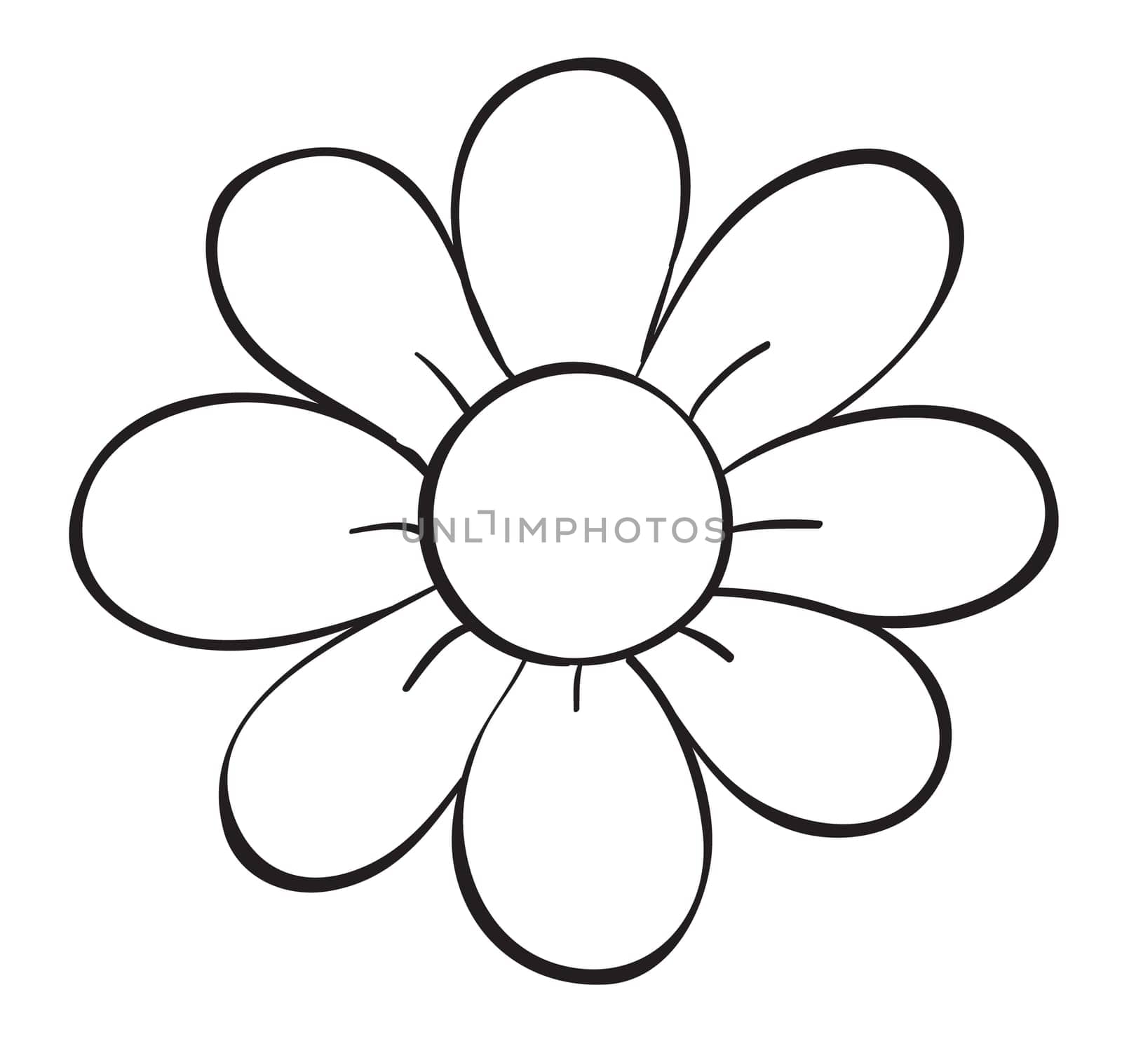 illustration of a flower sketch on white background