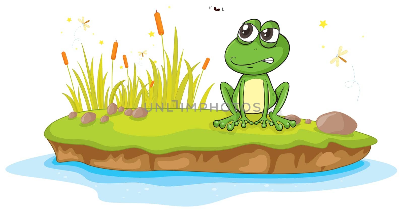 illustration of a frog and a water on a white background