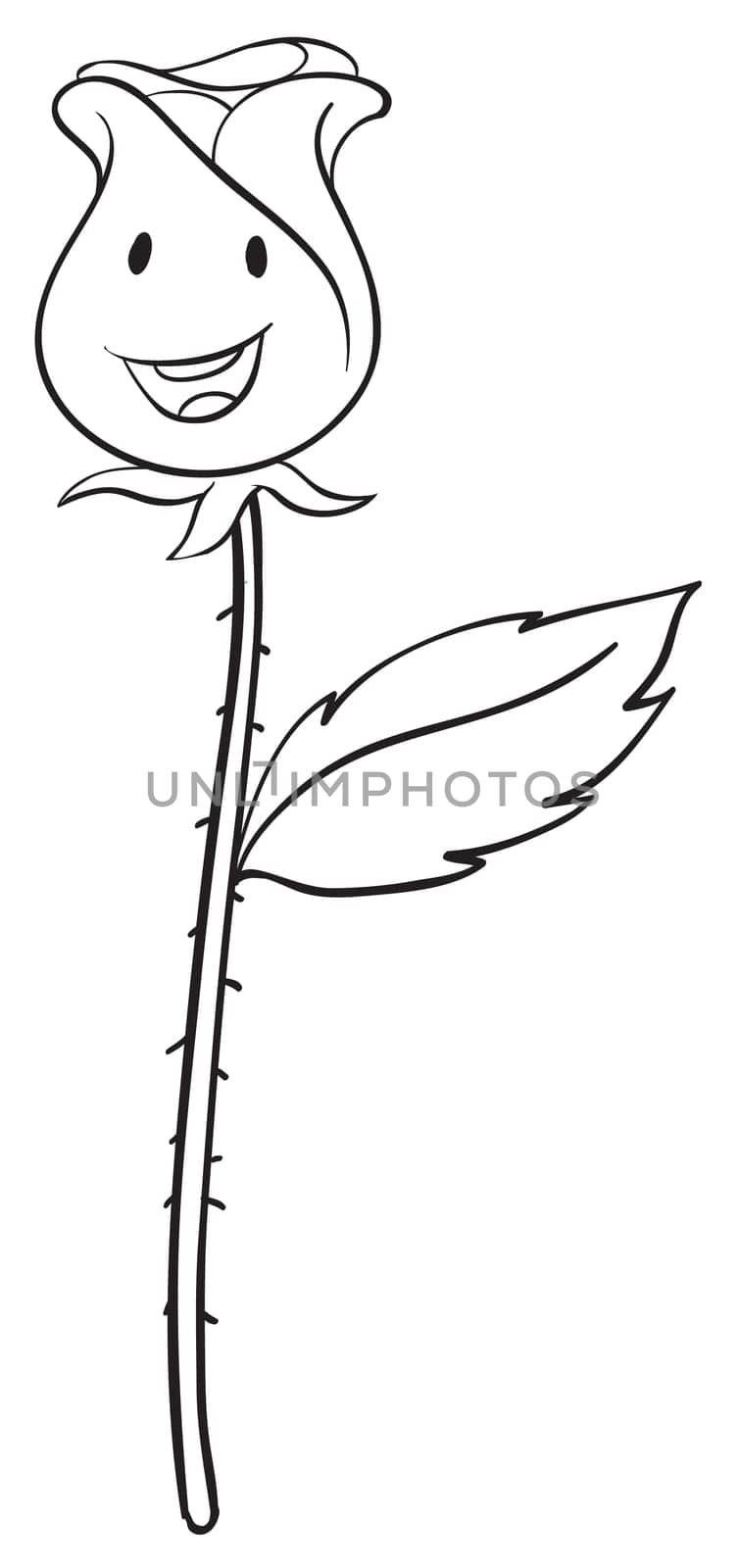 illustration of a rose on a white background