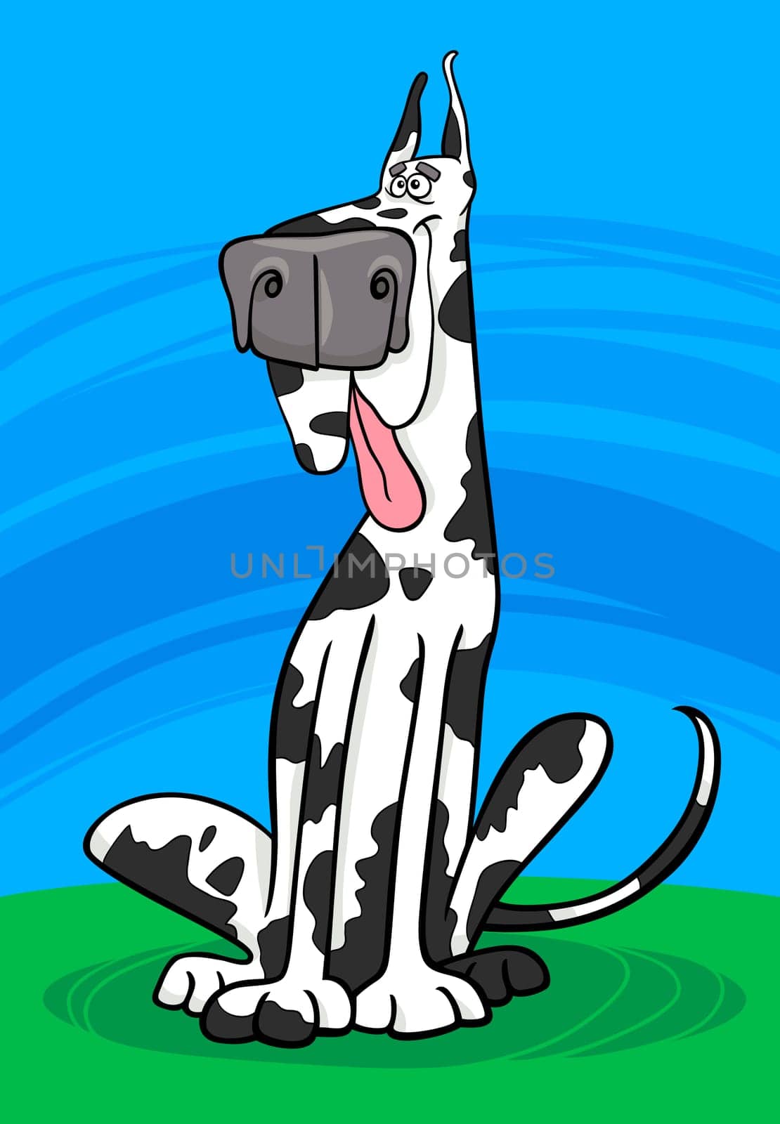 Cartoon Illustration of Funny Purebred Spotted Harlequin Dog