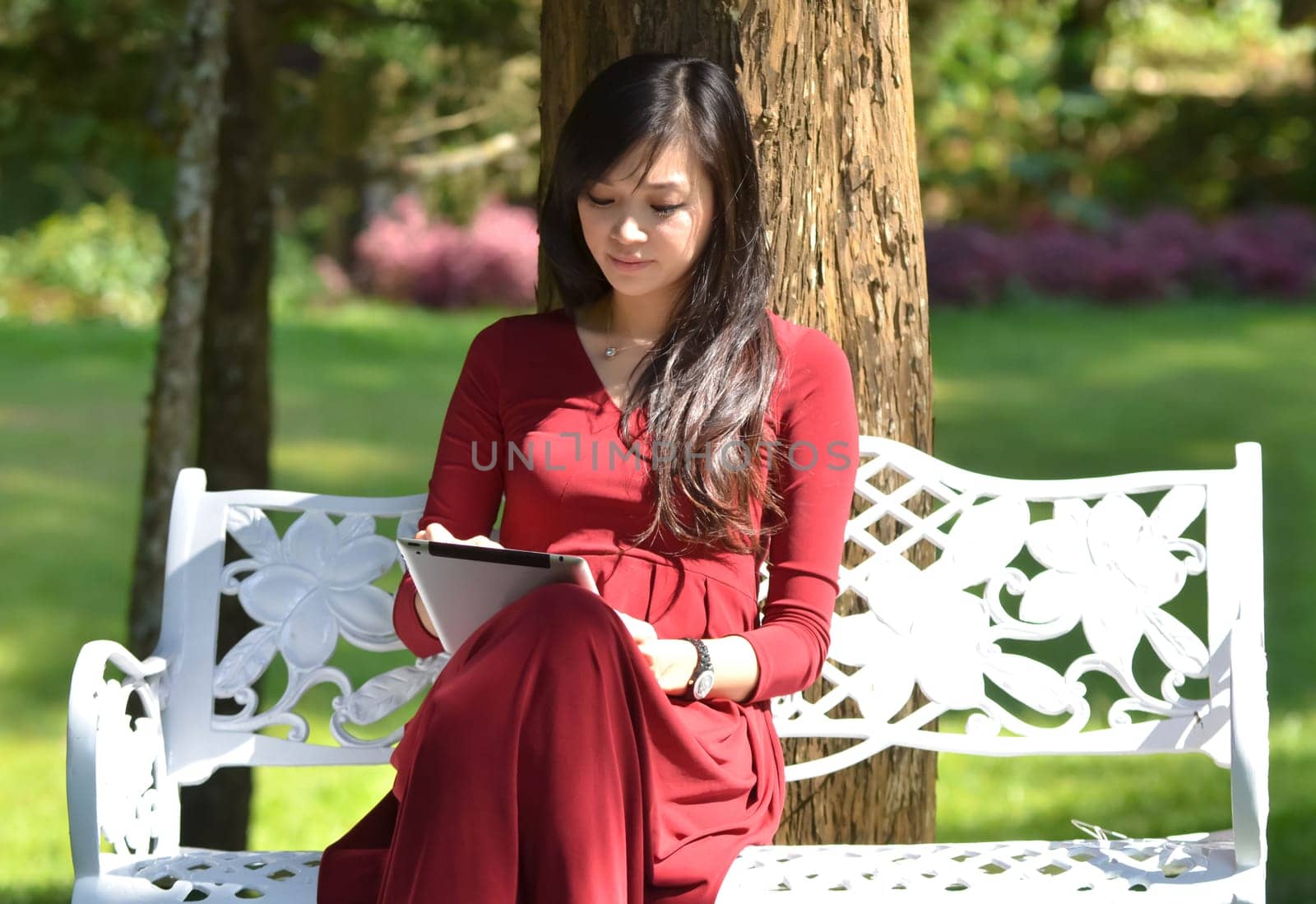 pretty  woman using  tablet in the garden