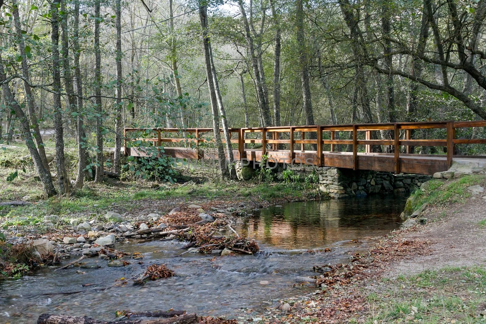 rural scene, season changing to fall, wood bridge over creek in the Montseny Natural Park, Spain