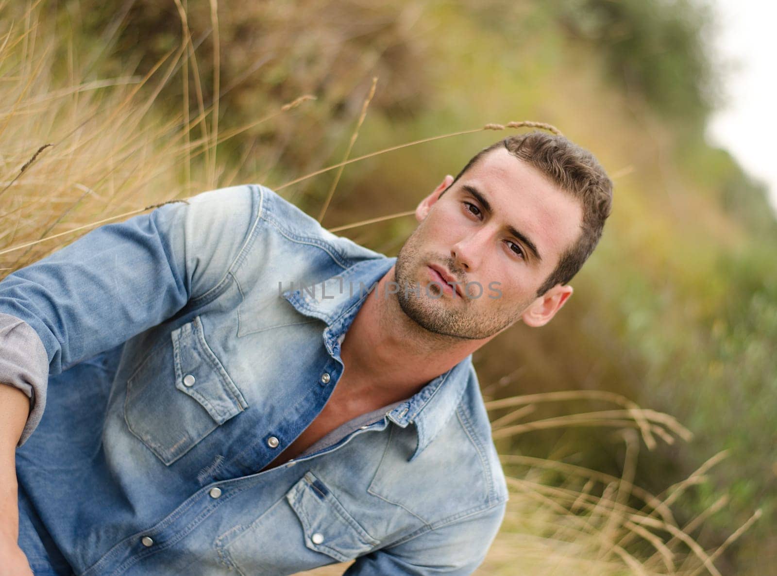 Good looking male model in jeans in a field