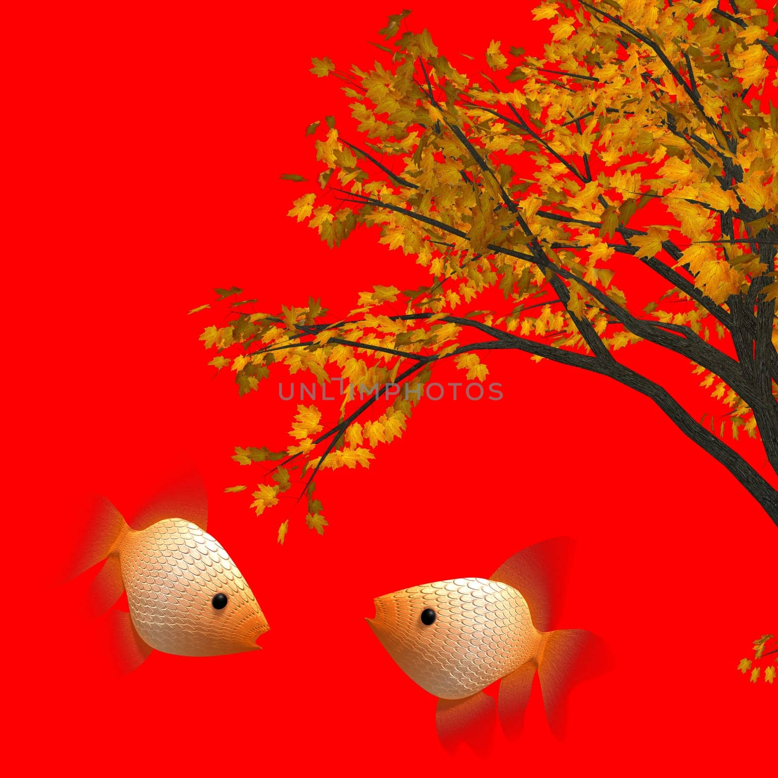 chinese new year graphic and background