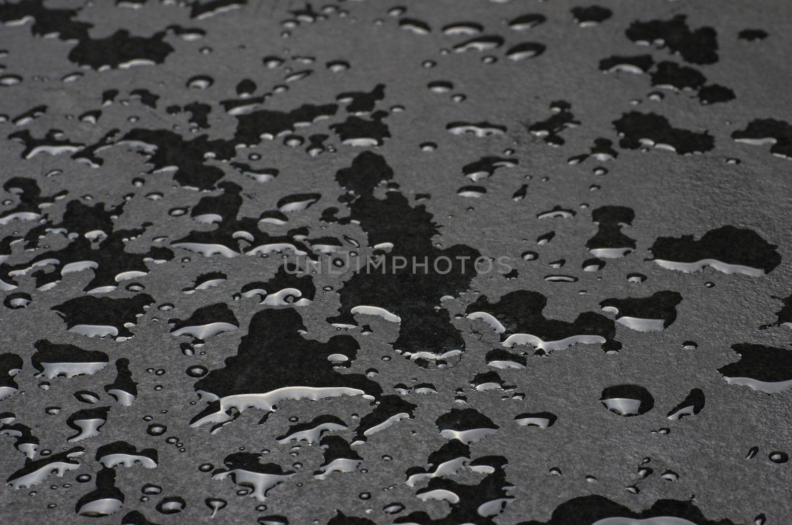 Macro shot of a slate slab with water droplets
