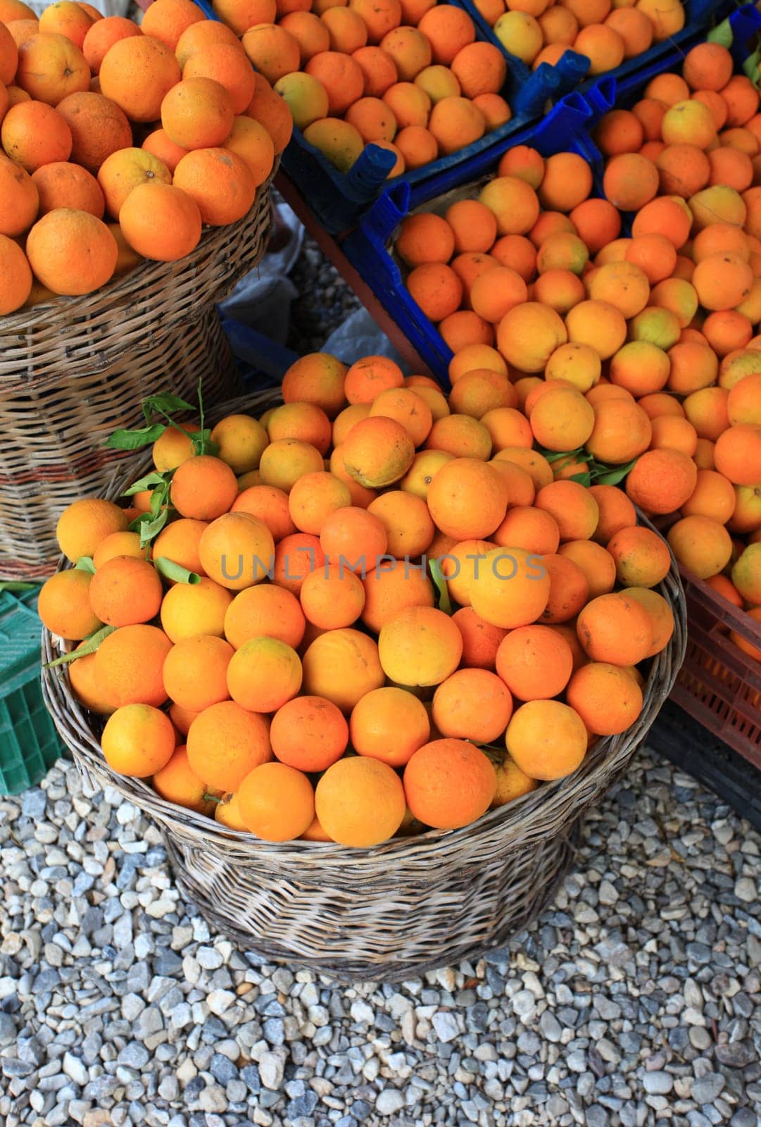 orange background