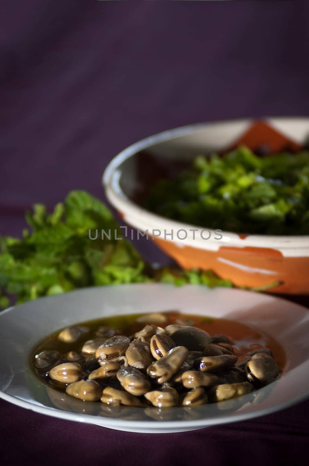 Real food photographed on location in traditional portuguese restaurants, broad beans soup - sopa de favas - Alentejo, Portugal