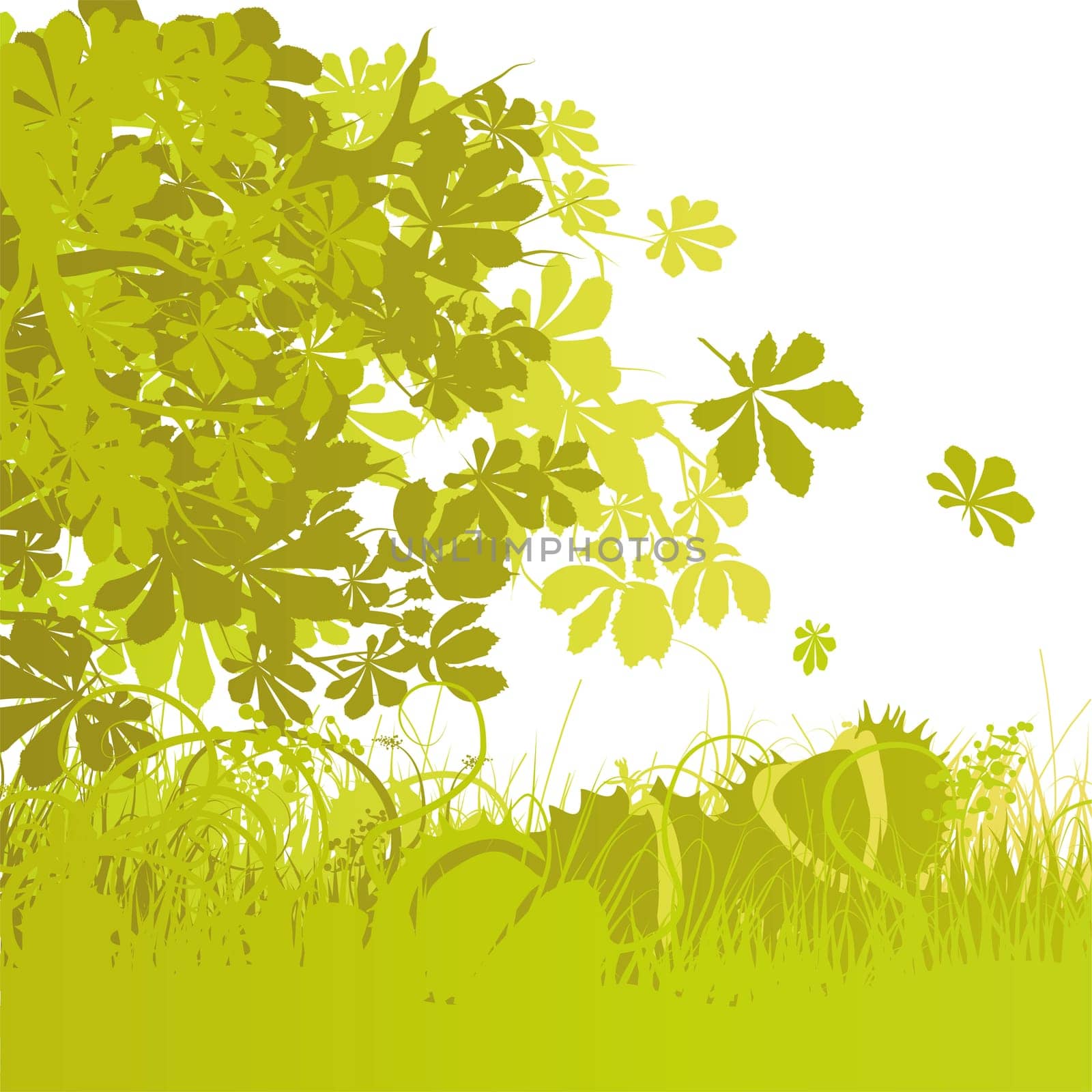 Background chestnut and mixed forest