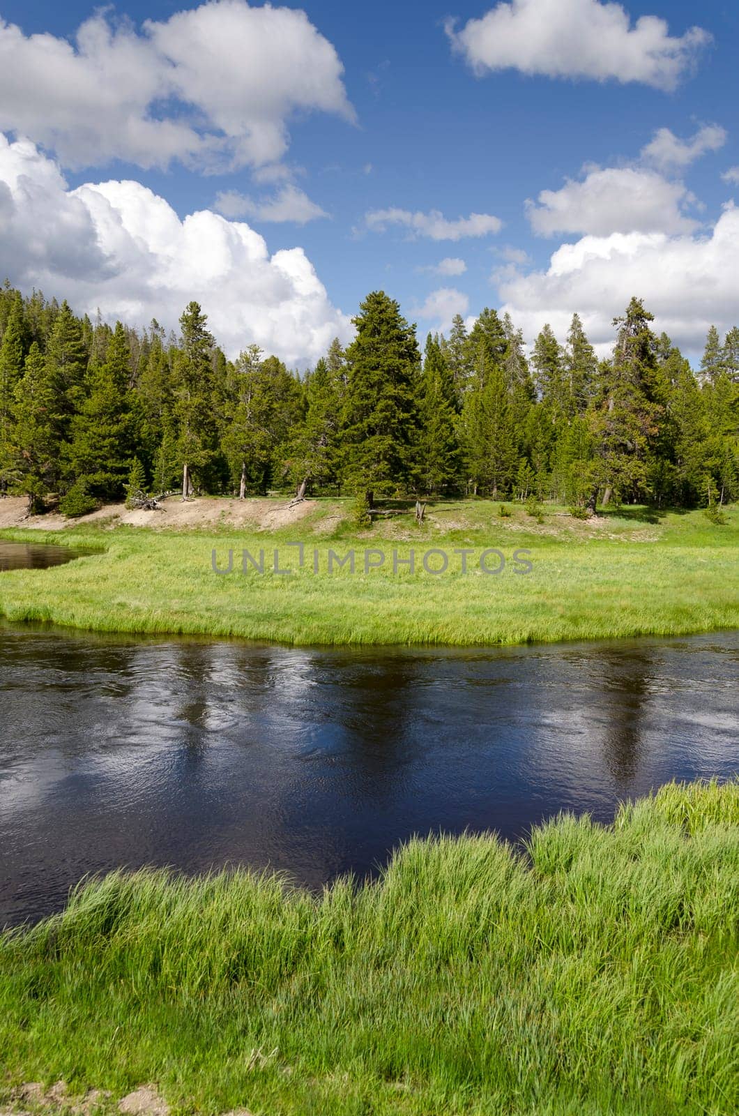 Yellowstone River in Yellowstone National Park in Wyoming in the United States of America