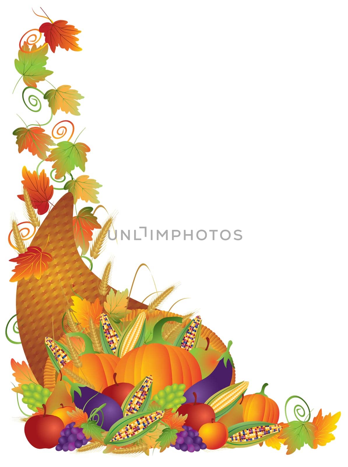 Thanksgiving Day Fall Harvest Cornucopia Pumpkin Eggplant Grapes Corns Apples with Leaves and Twine Border Illustration