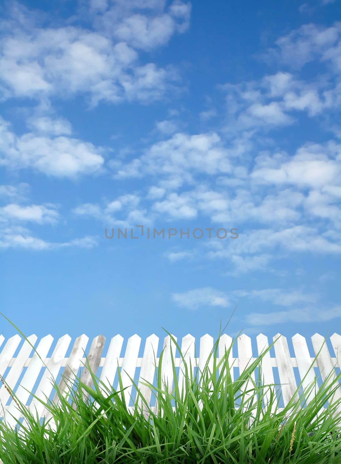 white fence and blue sky