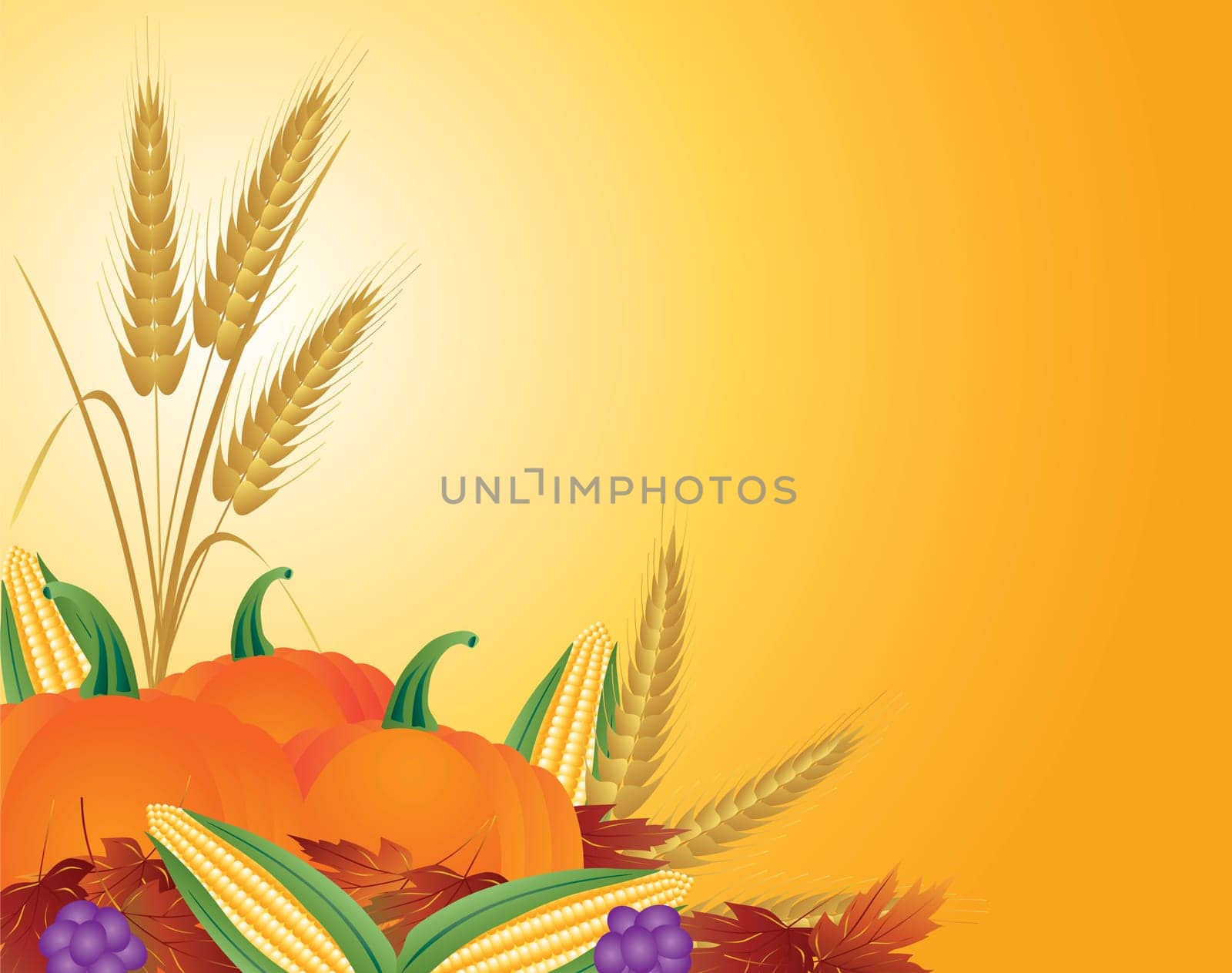Fall Harvest with Wheat Grain Pumpkins Corns Grapes and Leaves Illustration