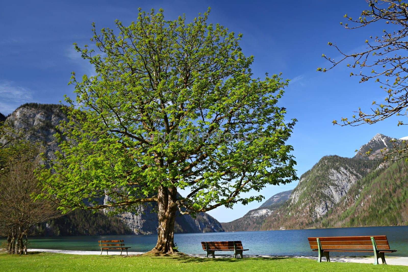 Park benches on the shore of Lake Königssee