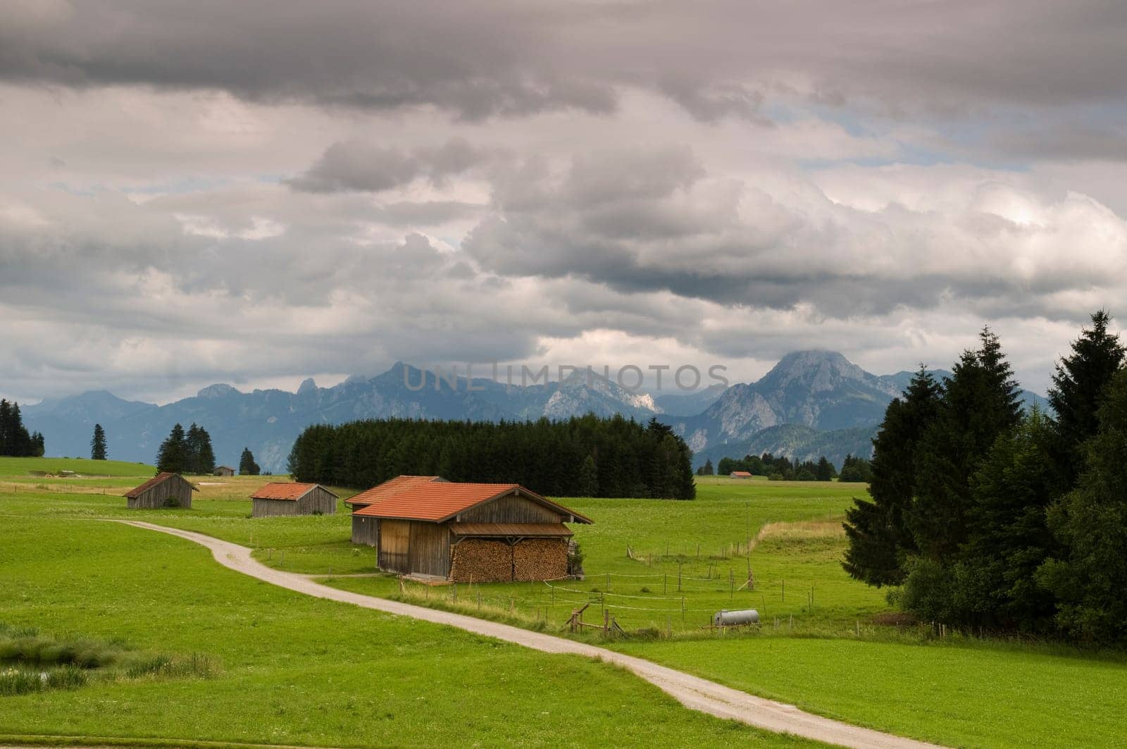 Gravel path in summery green pre-Alpine landscape (Ostallgäu) with isolated small wooden stables under overcast skies