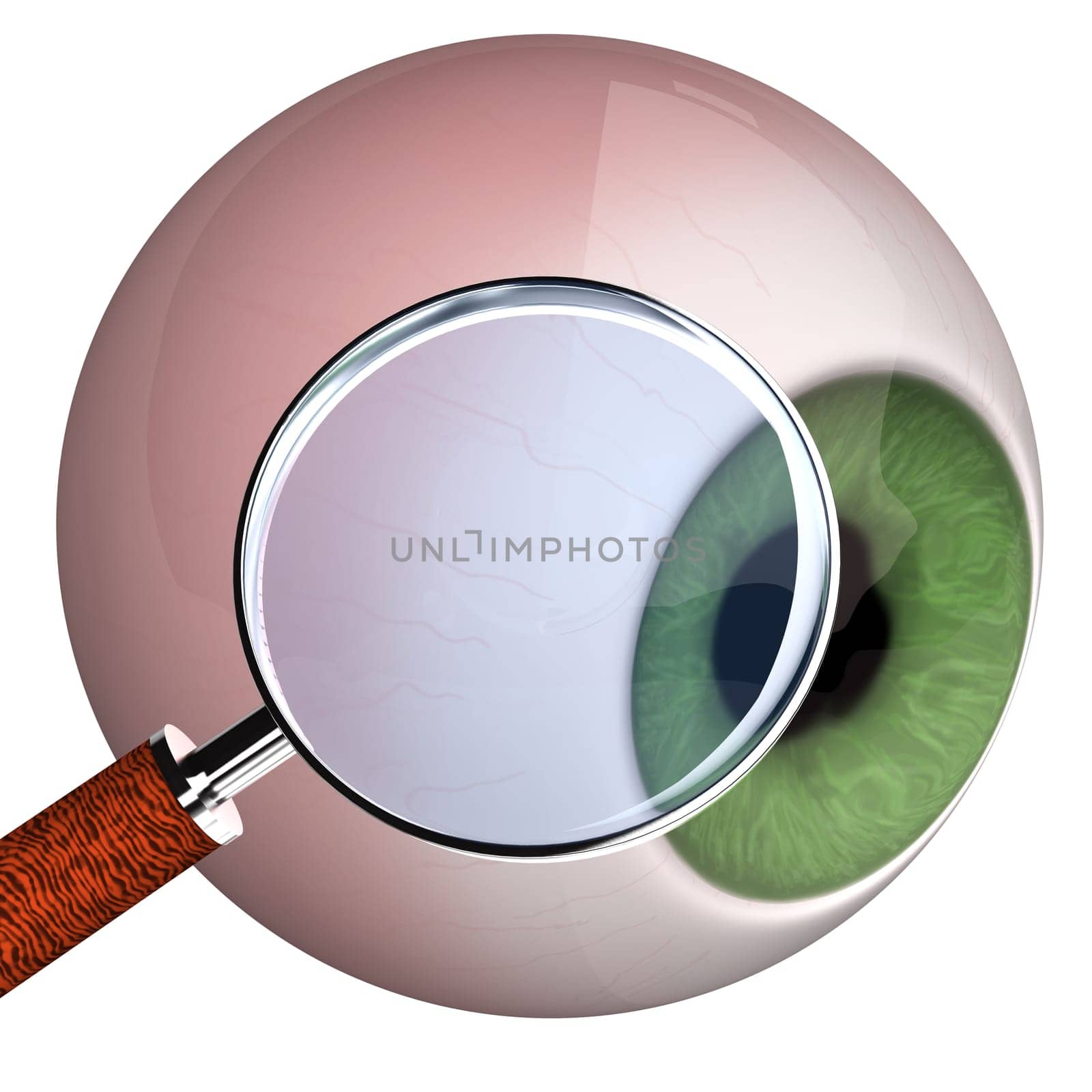 Eye with loupe on the white background.