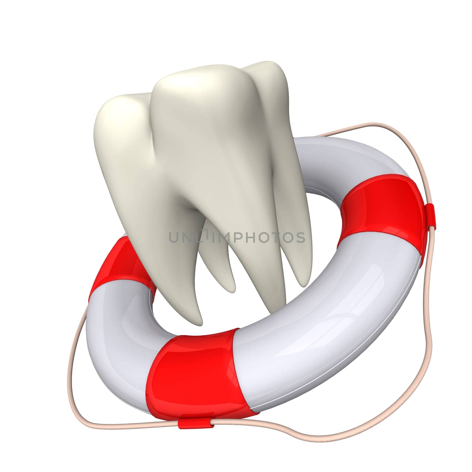 Lifebelt and white tooth on the white background.