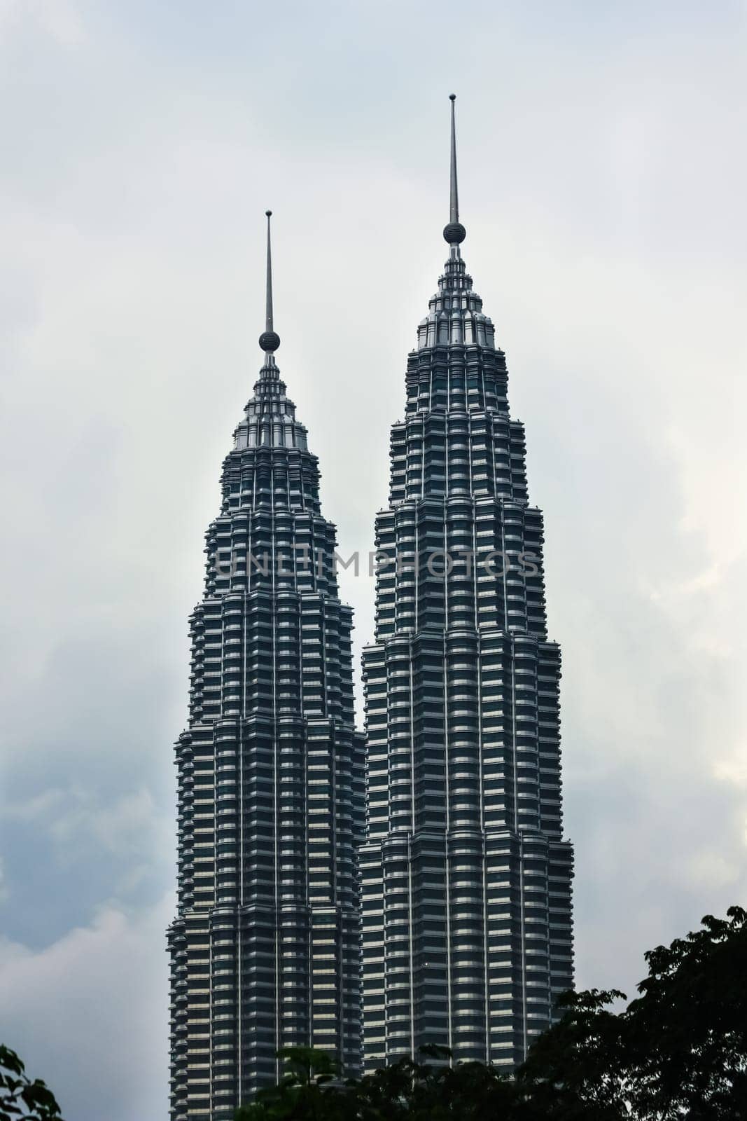 The Petronas Twin Towers are the world's tallest twin towers.