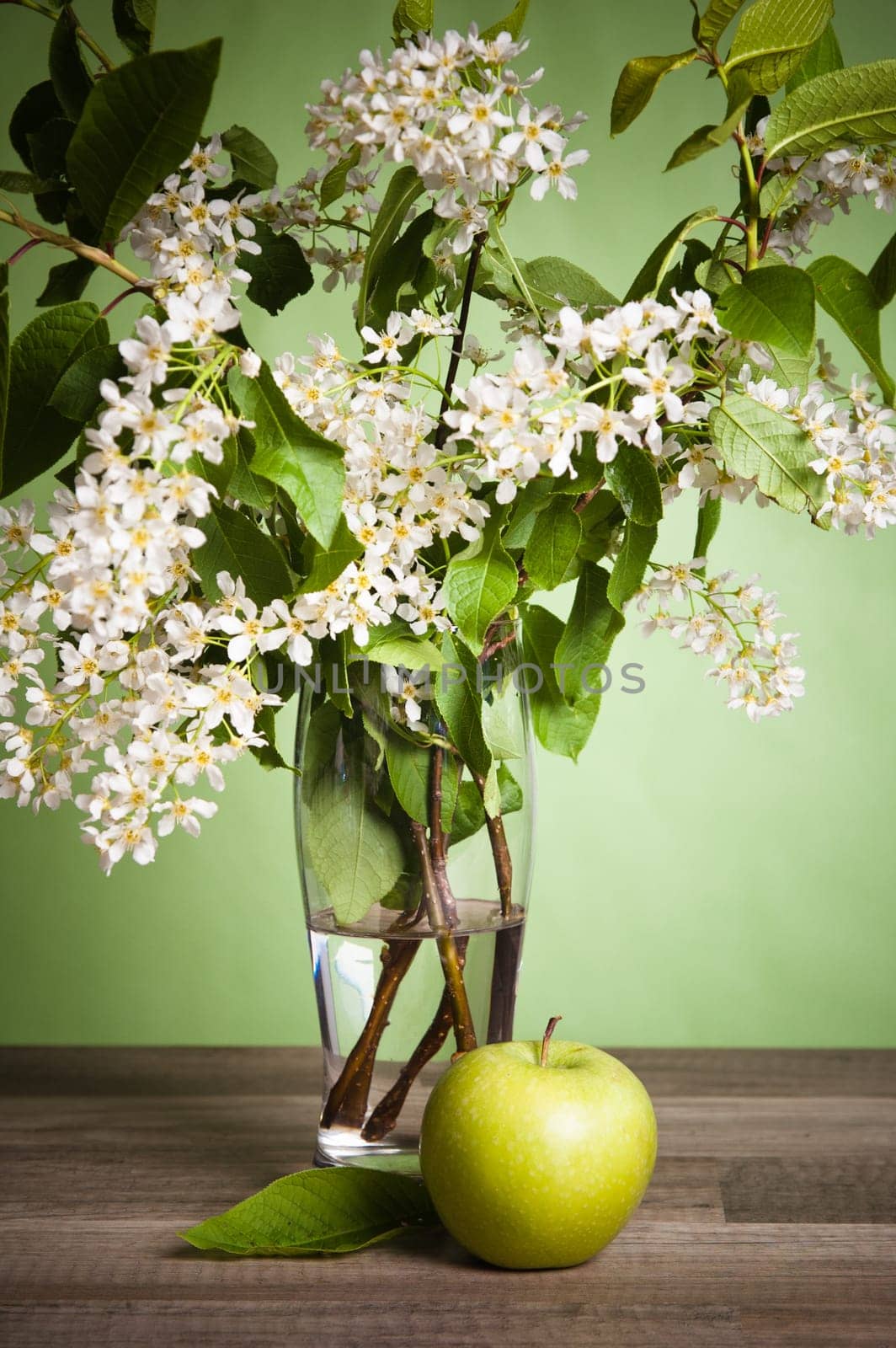 Bouquet of a blossoming bird cherry in a vase on a table