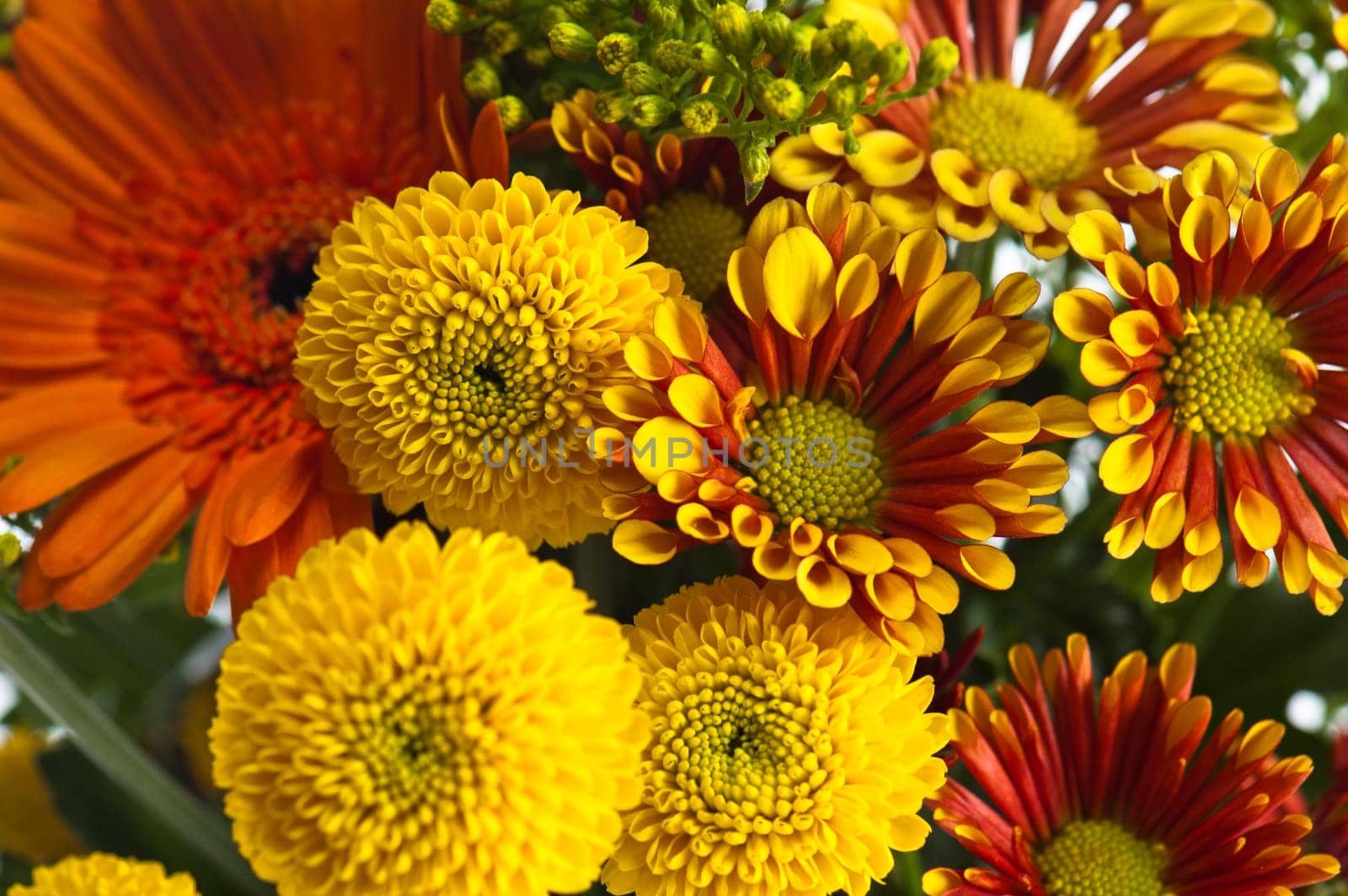 a bouquet of summer flowers, close-up