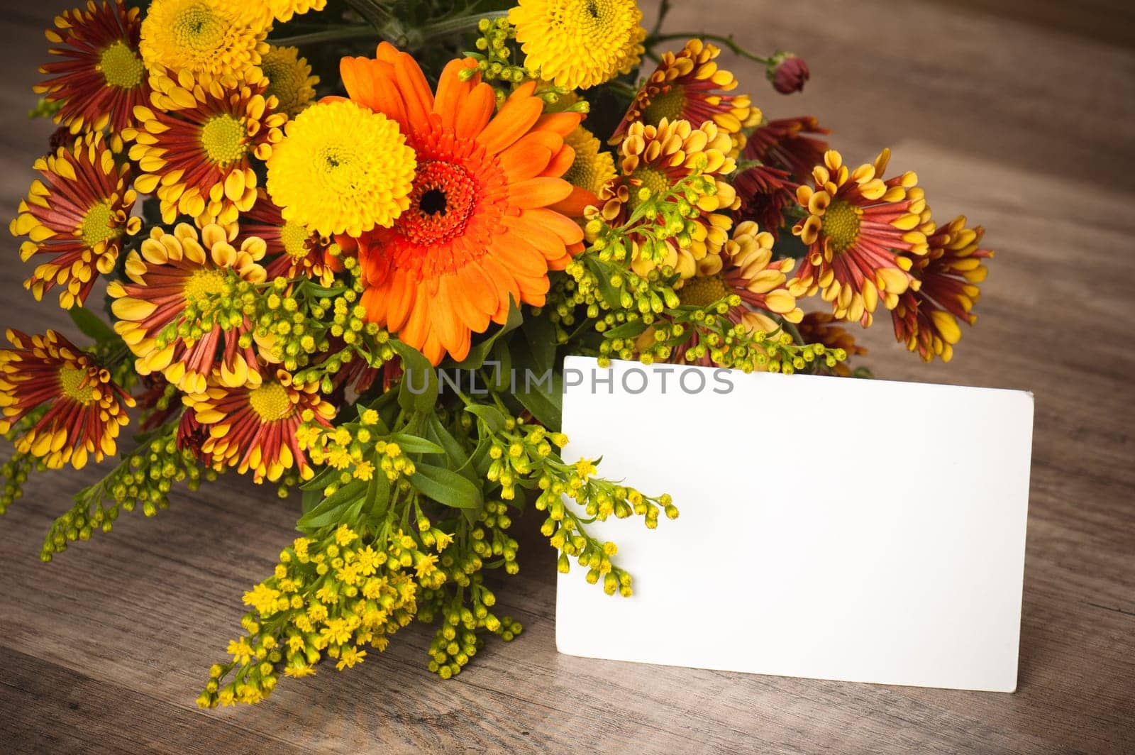 a bouquet of summer flowers, close-up