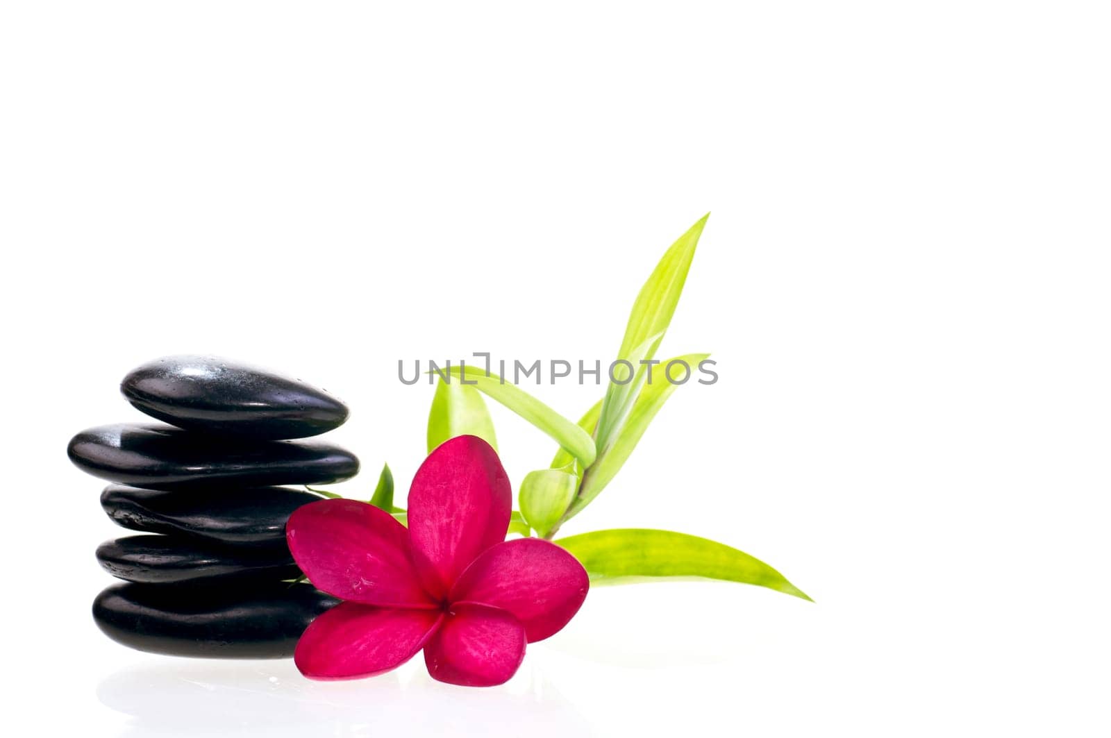 Black balanced zen stones with bamboo and red plumeria flower