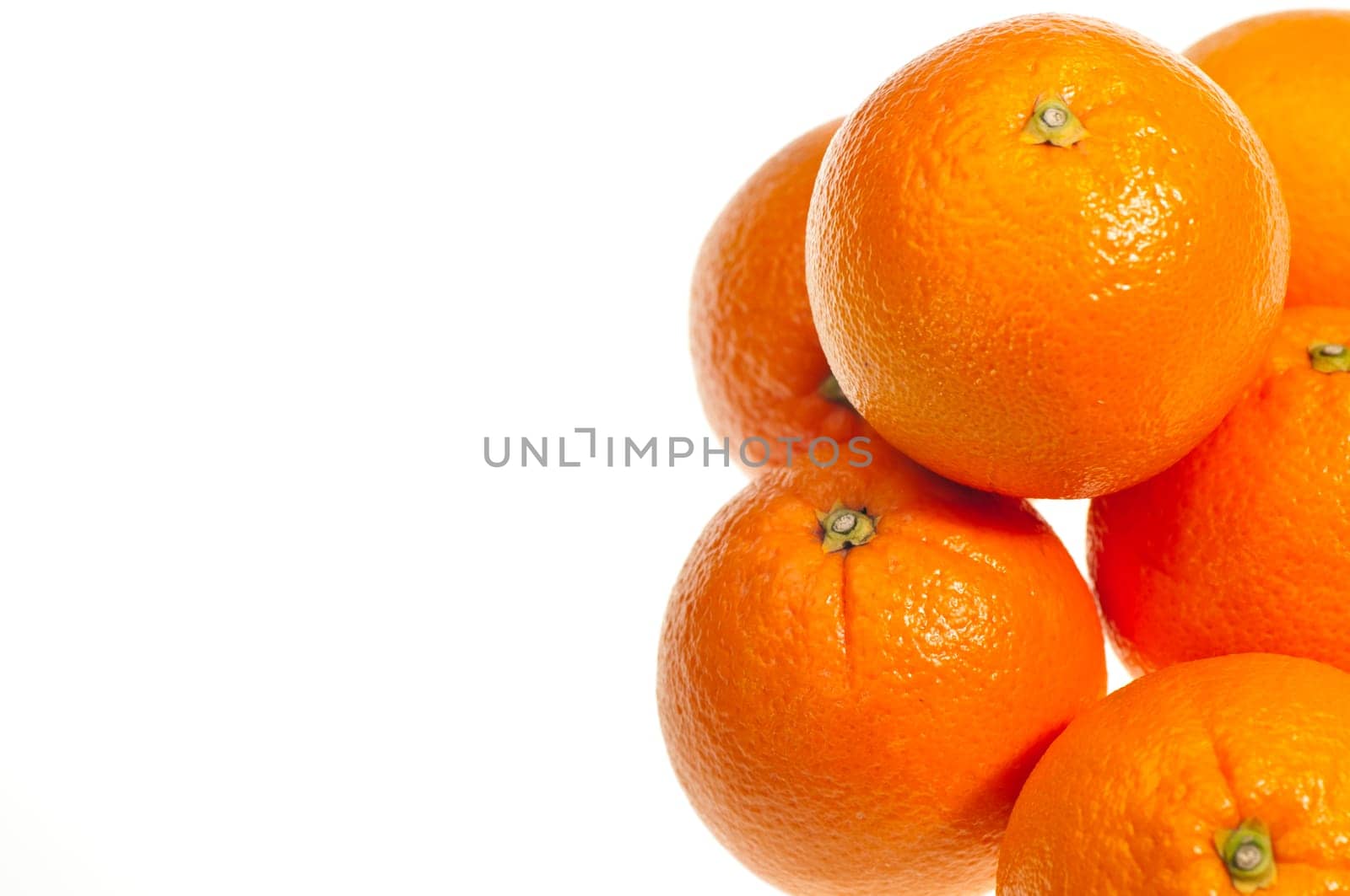 Six oranges extreme close up over white background