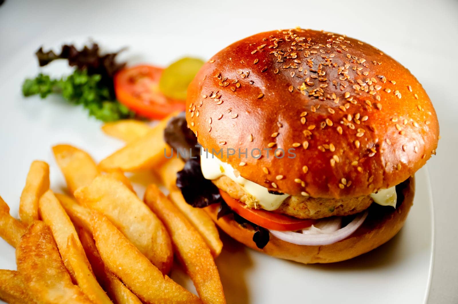 Chicken burger and steak fries with a salad