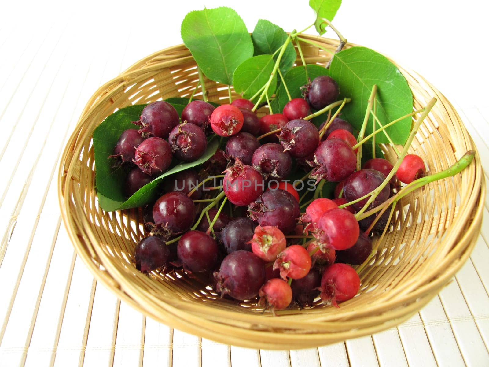 Rock pears in a basket