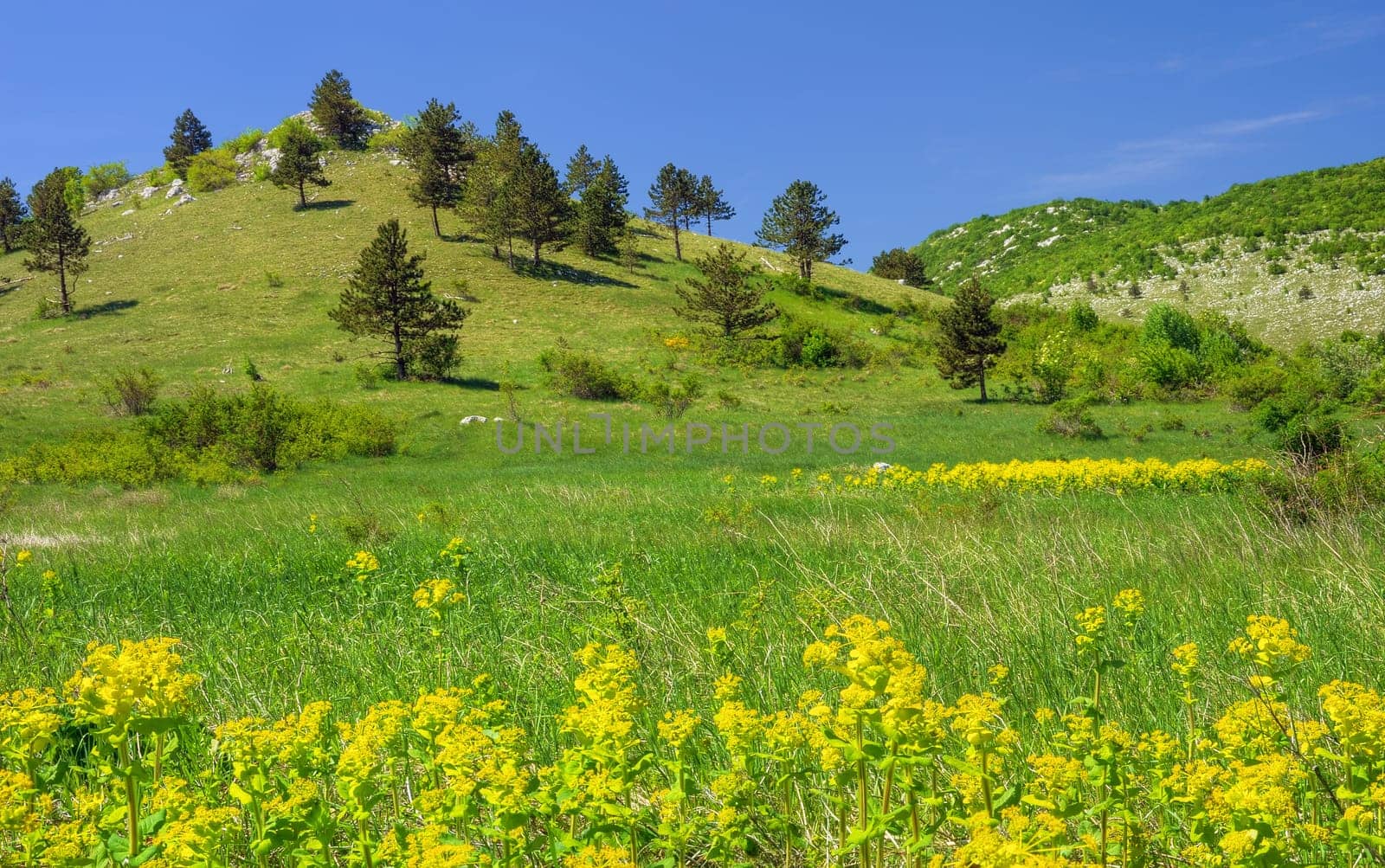 Mountain landscape in Lika , Croatia