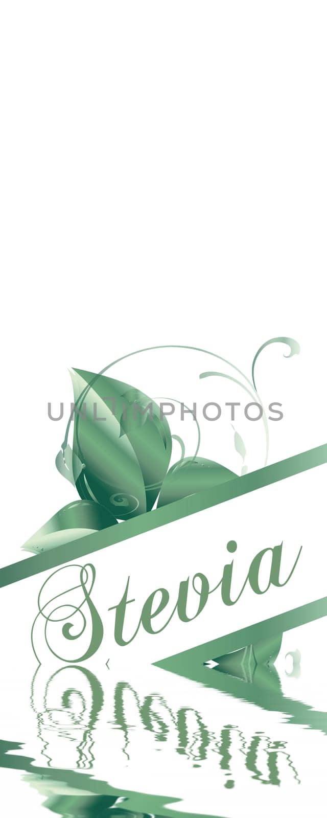 Stevia