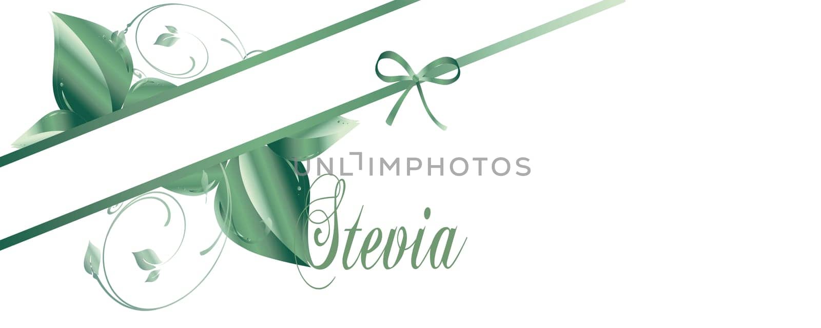 Stevia