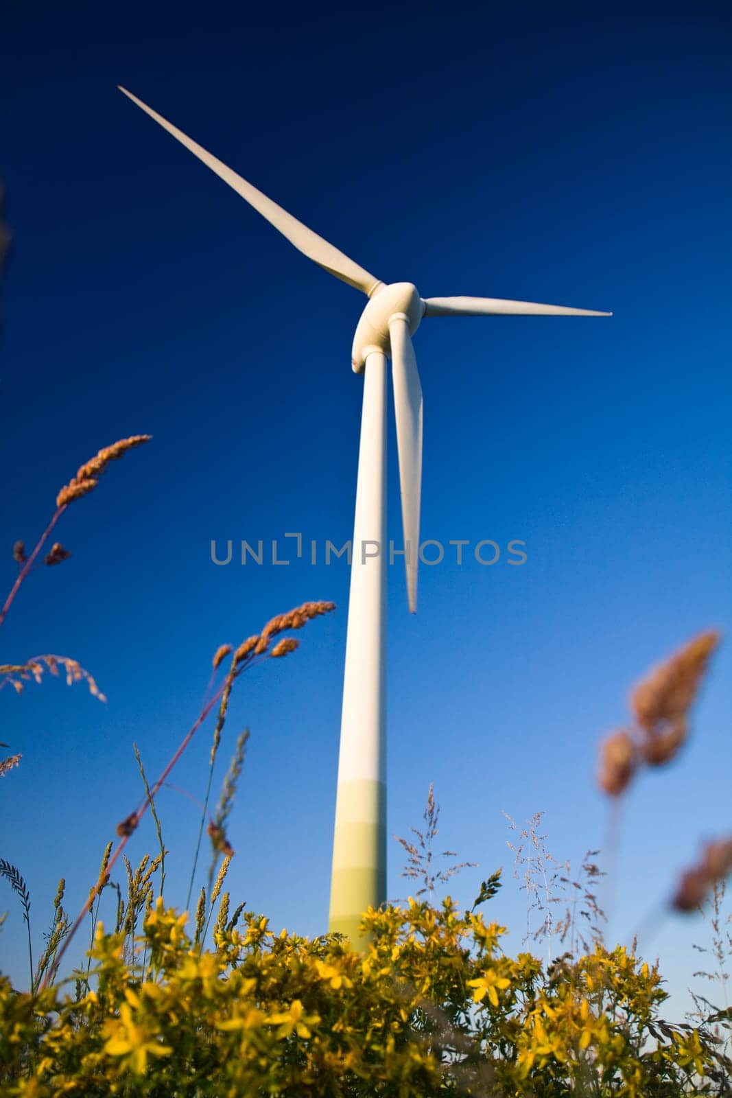 Windmills against a blue sky, alternative energy source