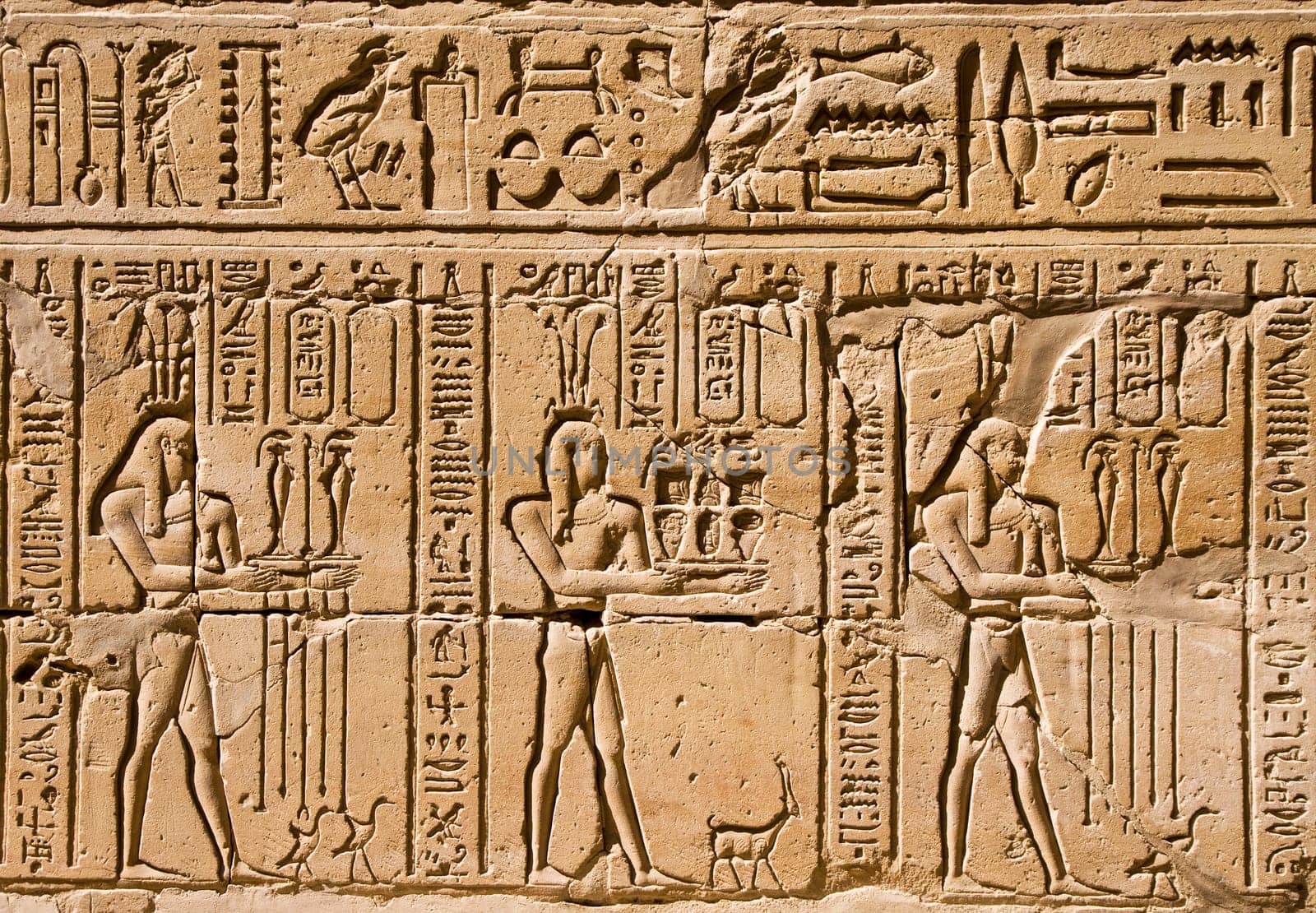 Closeup on ancient hieroglyphs in egyptian temple