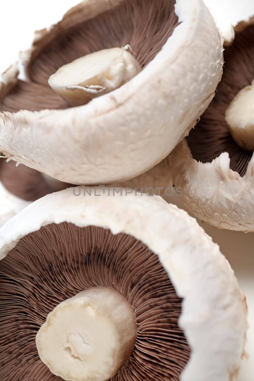 Freshly picked mushrooms