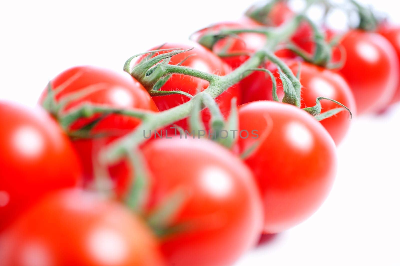 Fresh ripe tomatoes on the vine isolated on white background