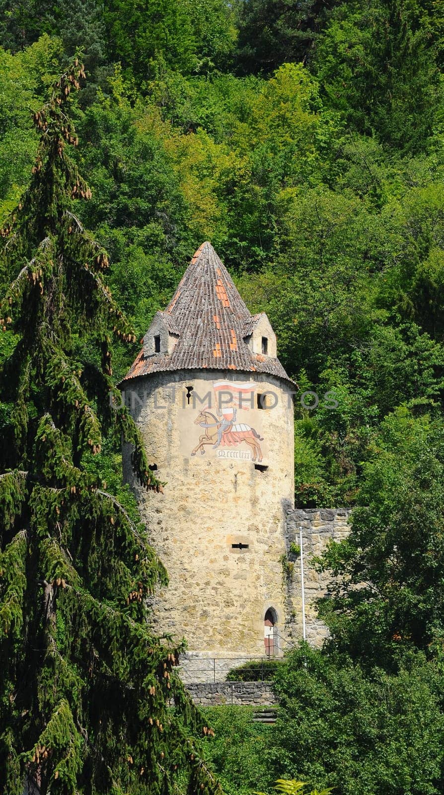 Ring wall tower in Horb am Neckar