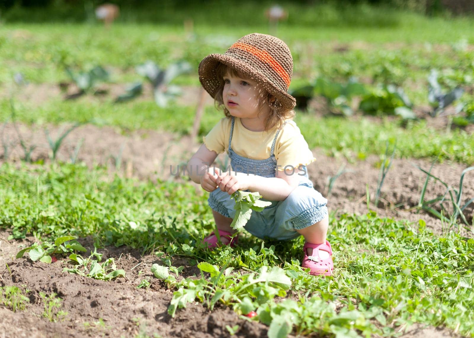 LKind crouches in the vegetable patch