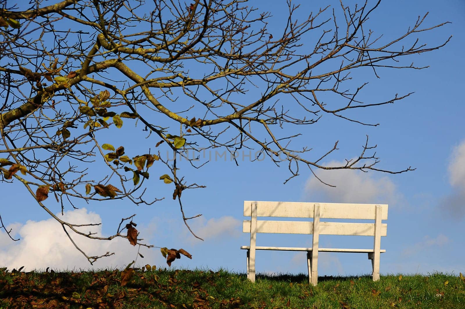 bench or (bank building without river without house without skyline)