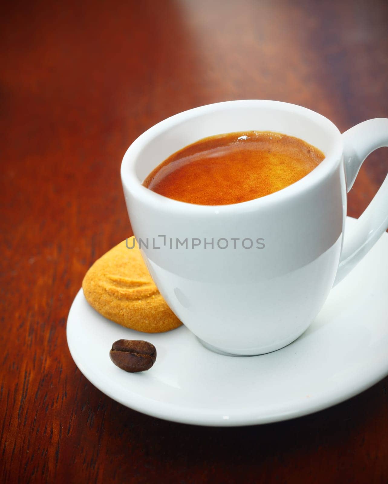 Cup of freshly brewed frothy espresso coffee served with a crisp golden biscuit and single coffee bean on a dark wood table