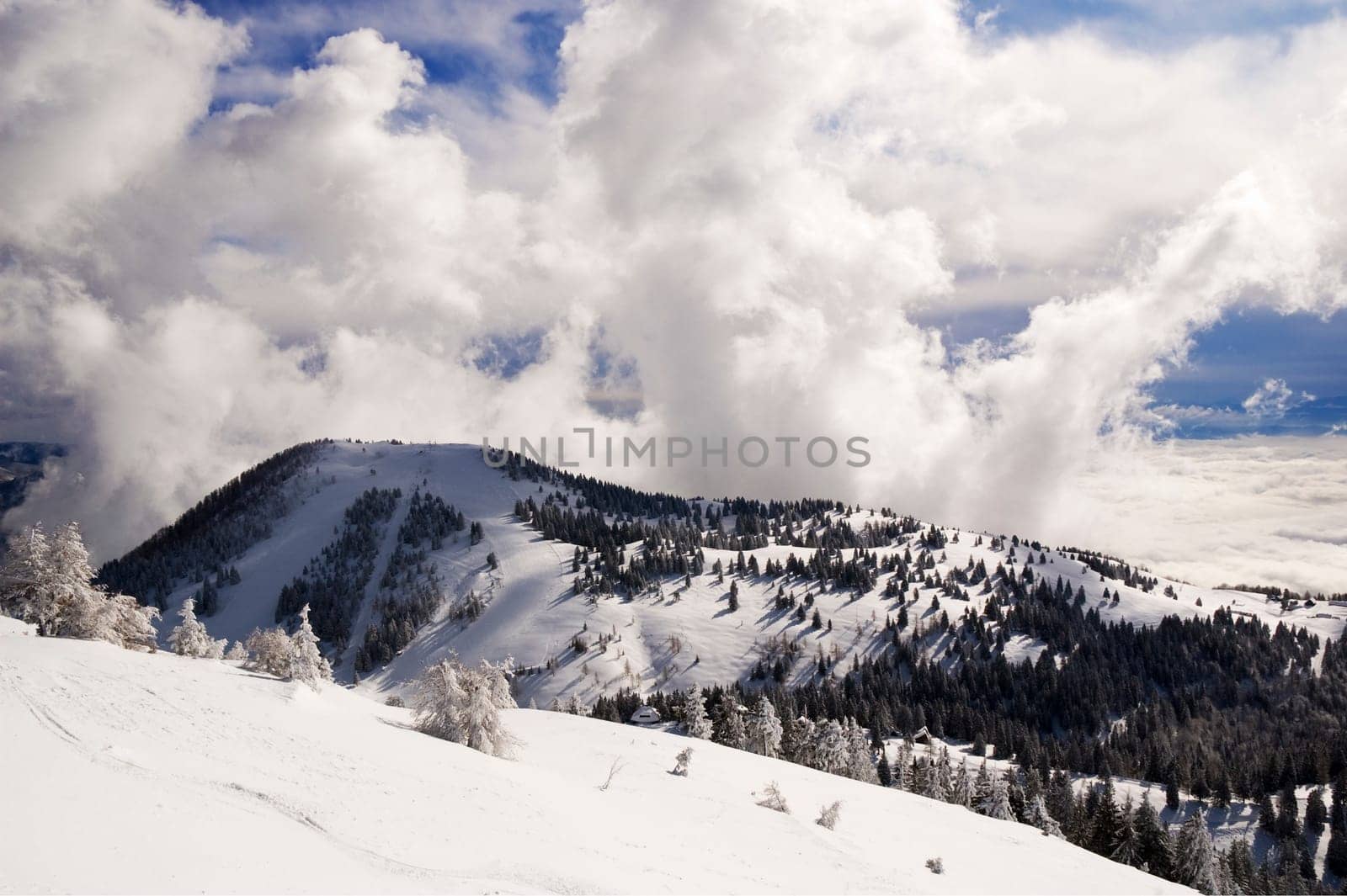 beautiful winter landscape on a sunny day