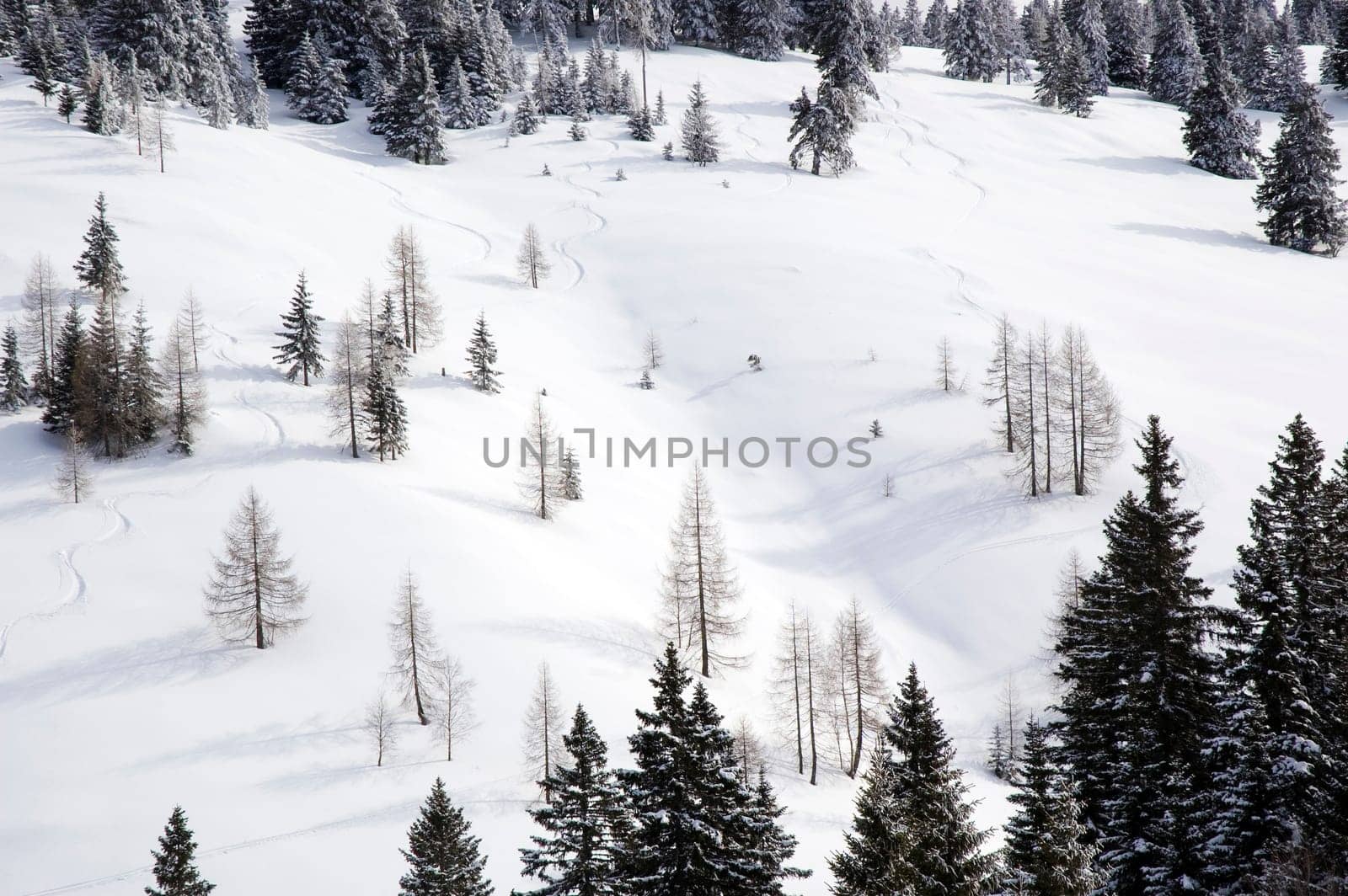 beautiful winter landscape on a sunny day