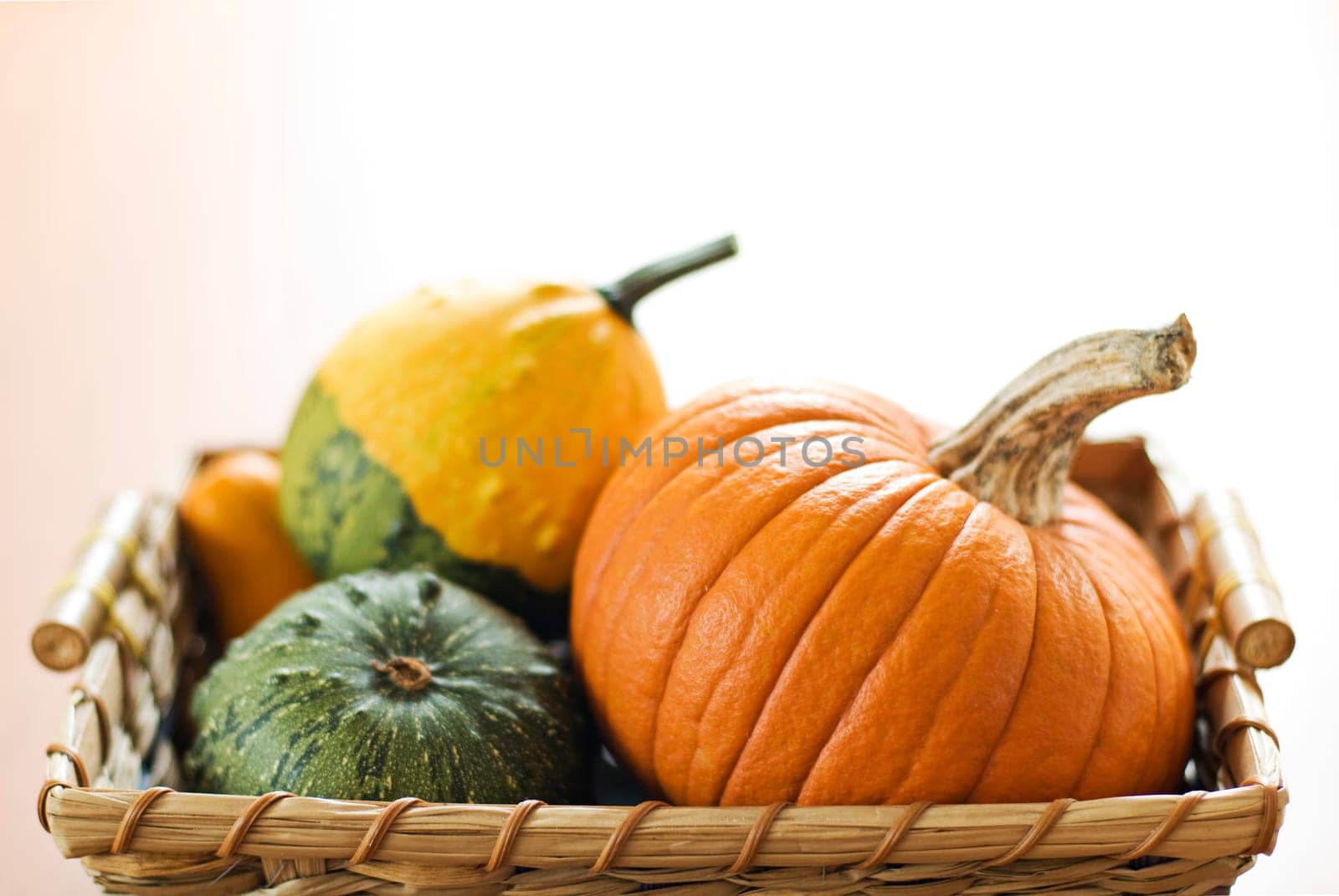Pumpkins in basket isolated close up shoot