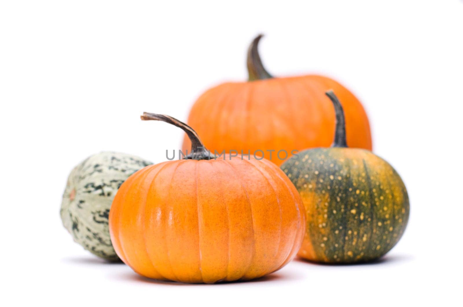 Halloween pumpkin isolated on white close up