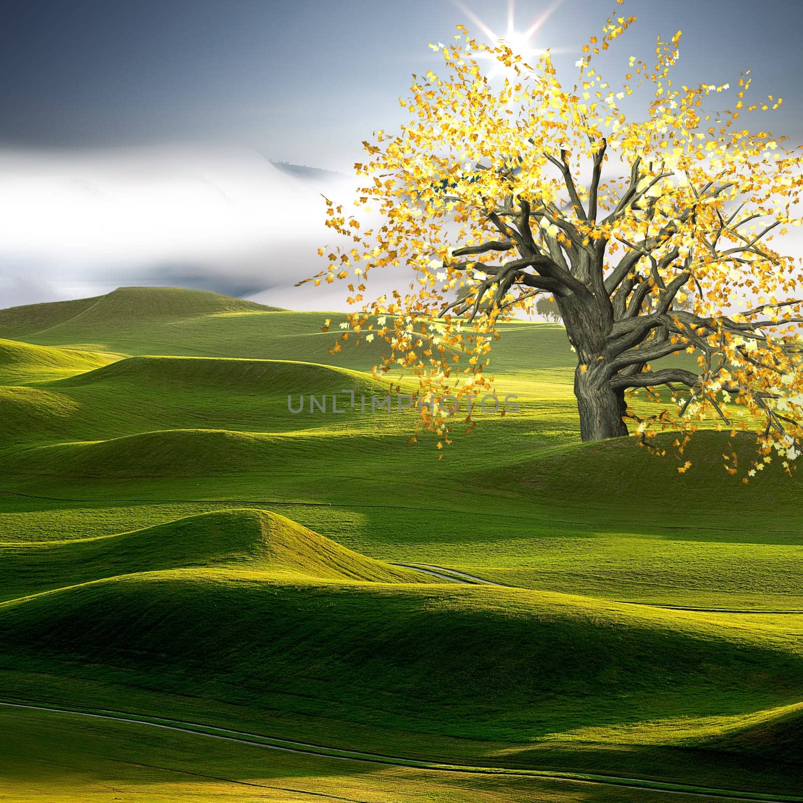 Beautiful Golf Course for adv or others purpose use
