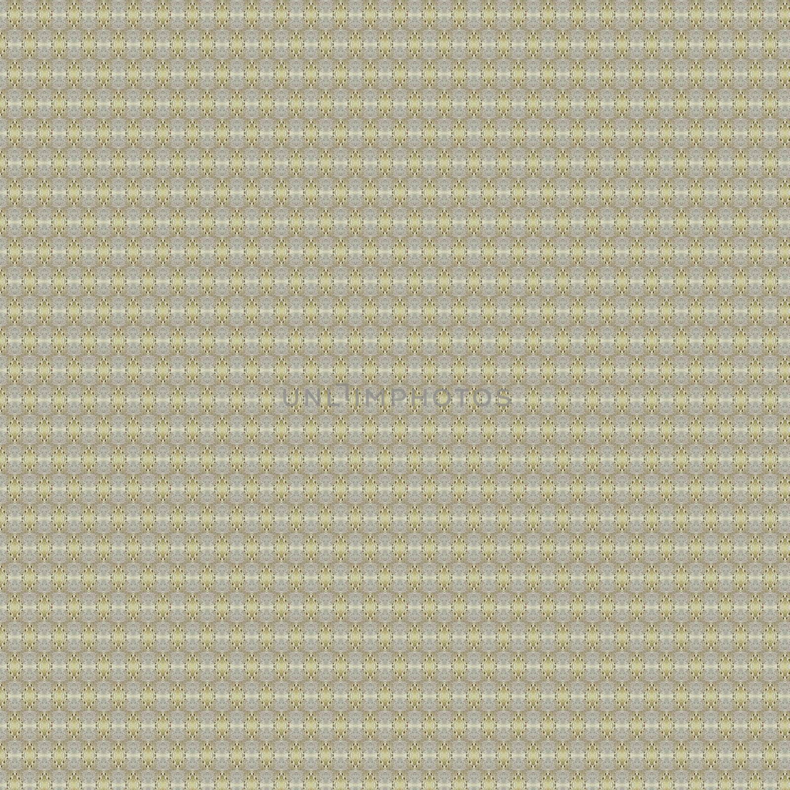 the vintage shabby background with classy patterns