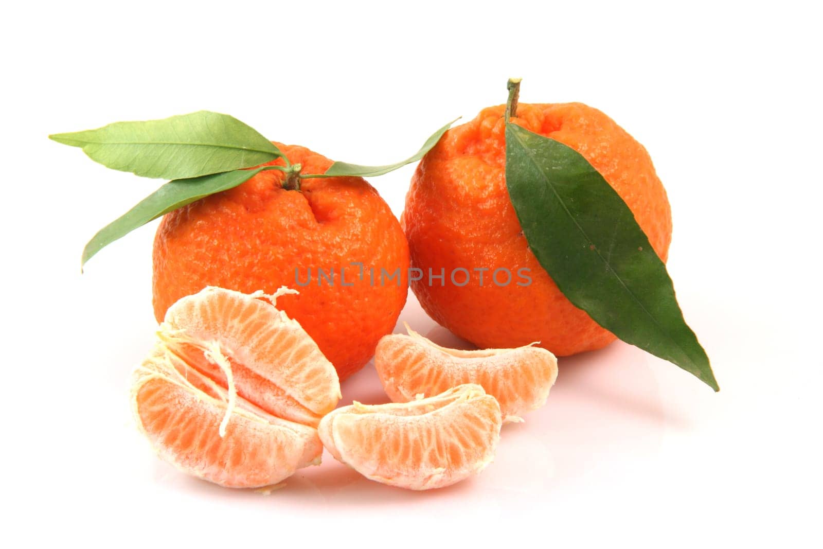 closeup mandarin row with copy space isolated on white background fruits and agriculture concepts