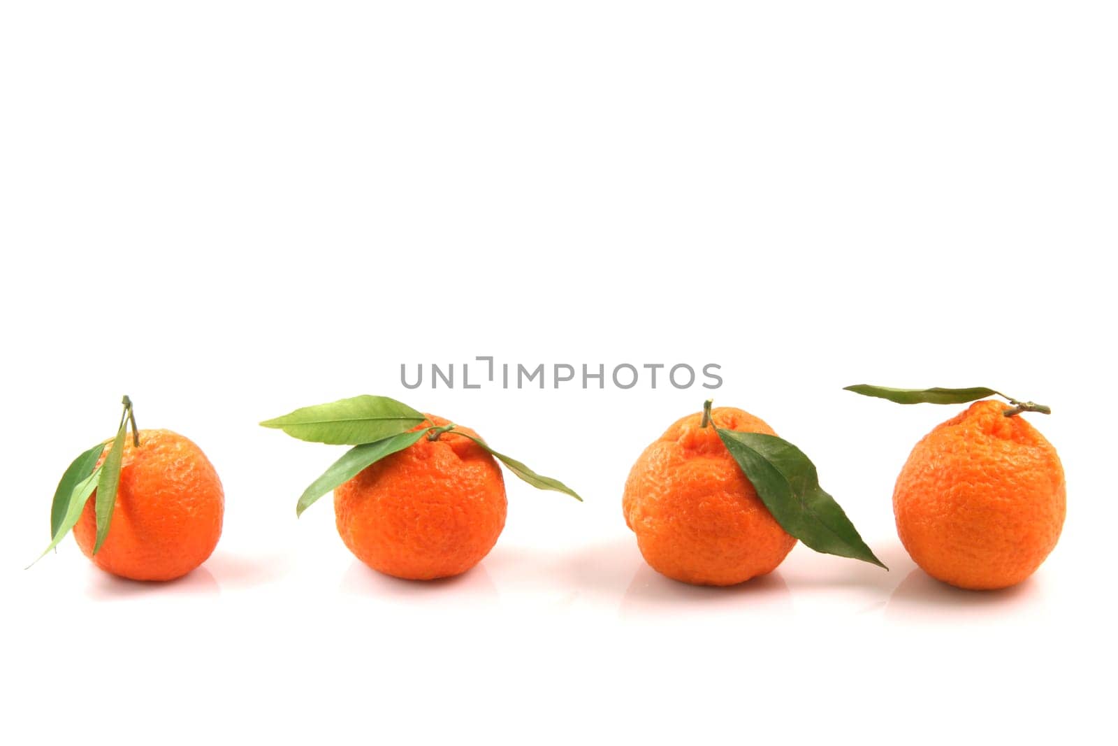 four mandarin front uper view with copy space isolated on white background fruits and agriculture concepts