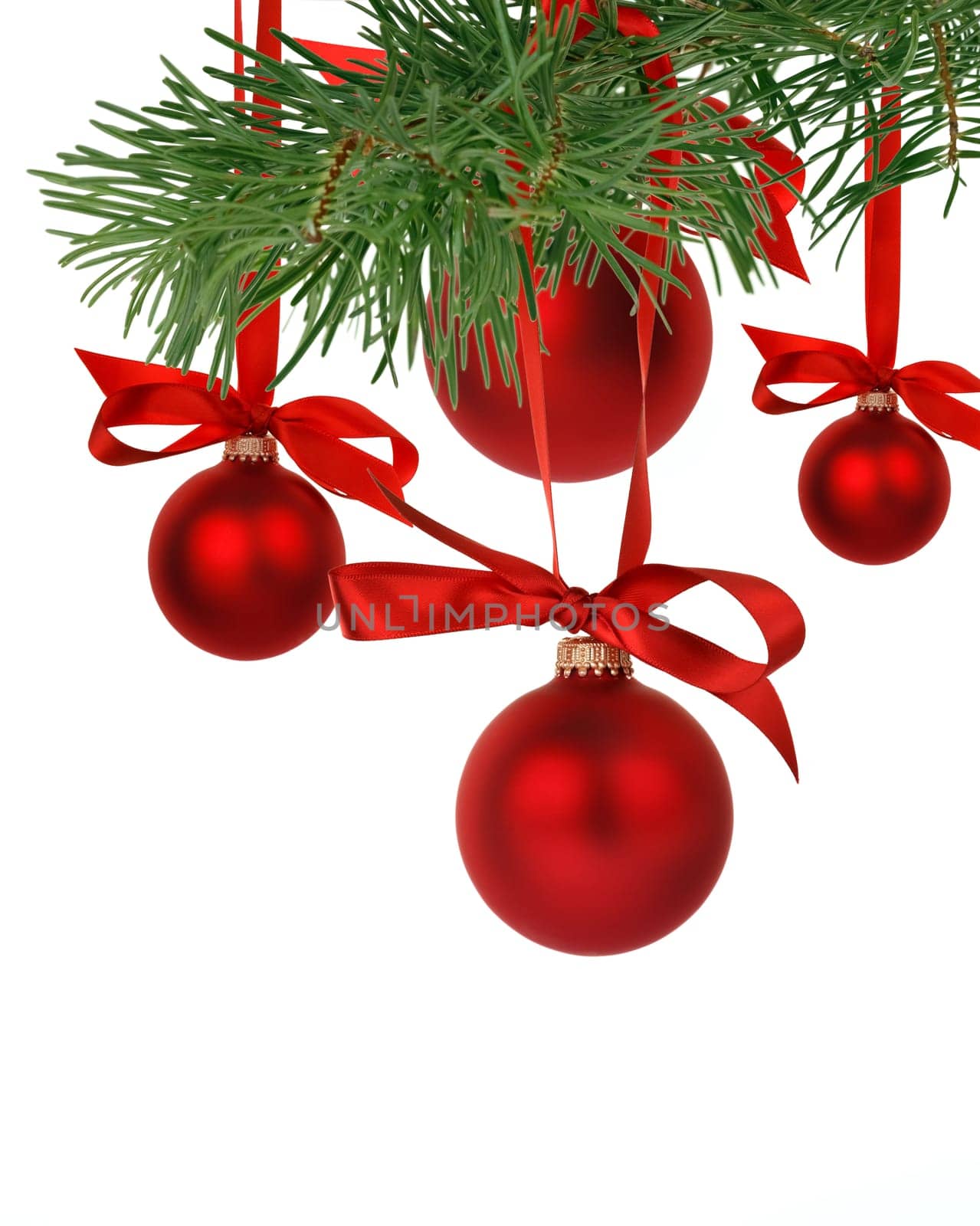 Christmas tree branch with ornaments